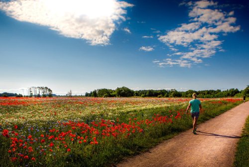 Pilgrimsvandring & KlosterSPA med sparitual- Heldagsspa